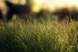 电竞“老炮”的告别宣言：这不是终点，是传承的开始