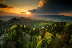 从冷门到热门！这位英雄的翻身仗打得太漂亮了！