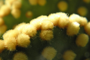 从低谷到巅峰！中超球队的涅槃重生之路！